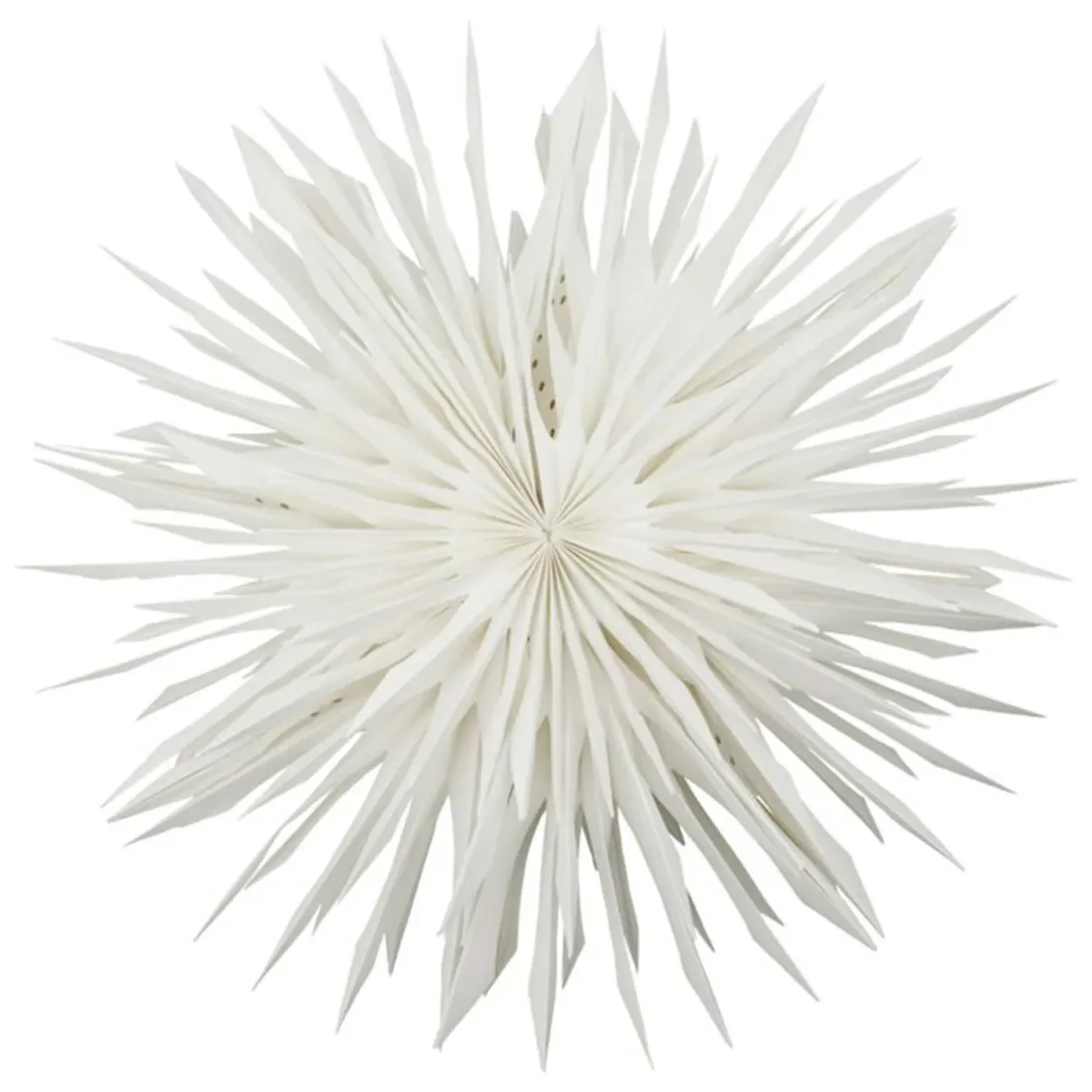 Coral Star Off-Weiß, 50 cm