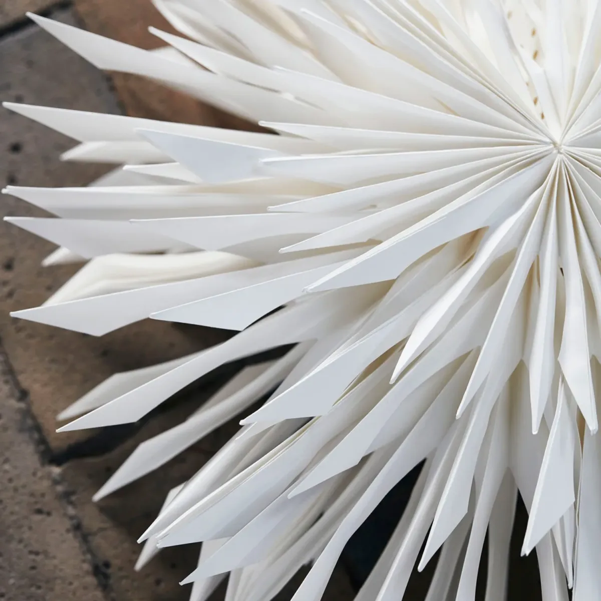 Coral Star Off-Weiß, 50 cm – Bild 4