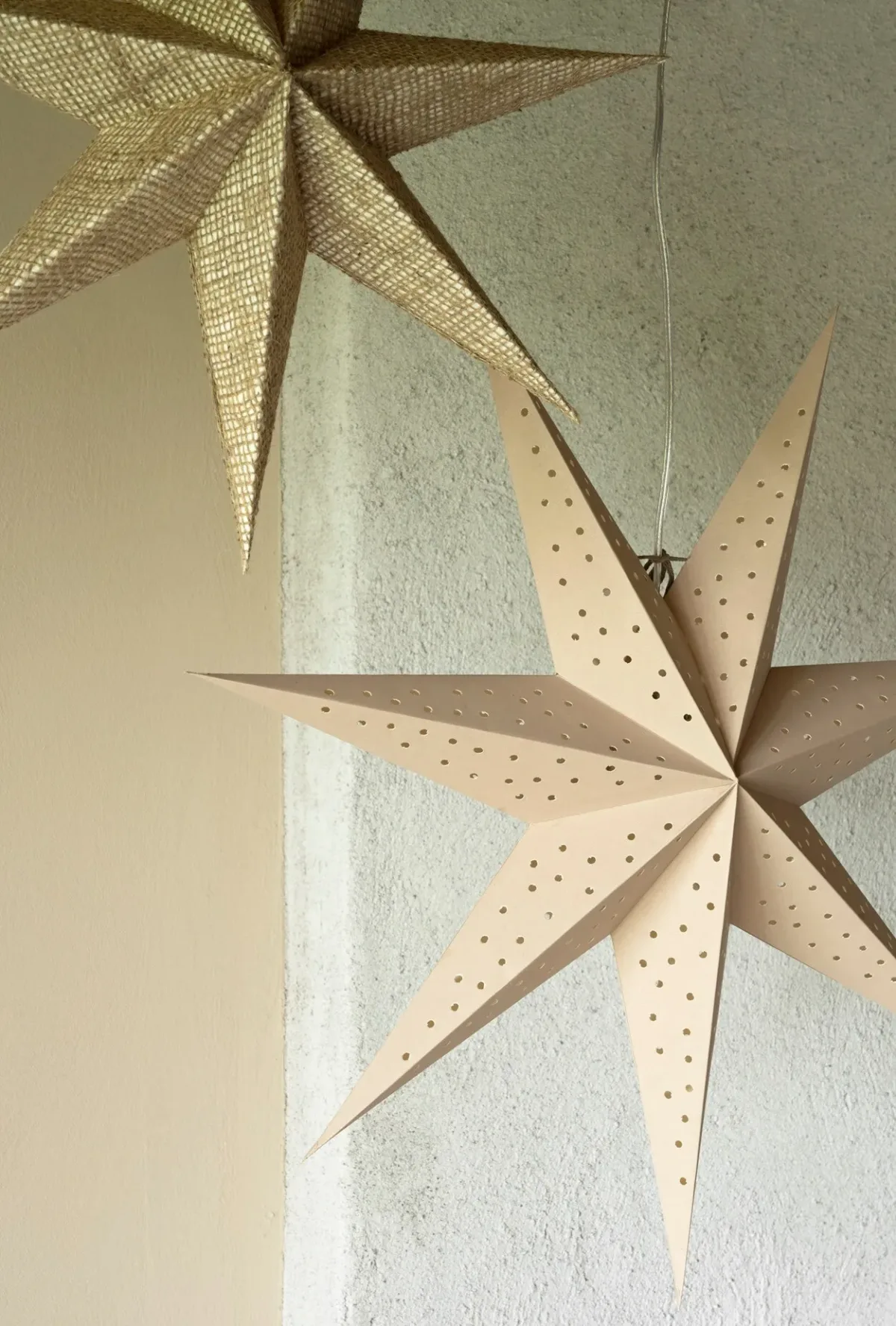 Veronica Weihnachtsstern Natural, 60 cm – Bild 2