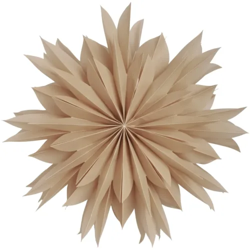 Wisdom 50 Weihnachtsstern, Beige